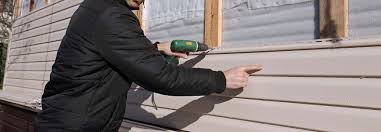 Best Vinyl Siding Installation  in Trumansburg, NY